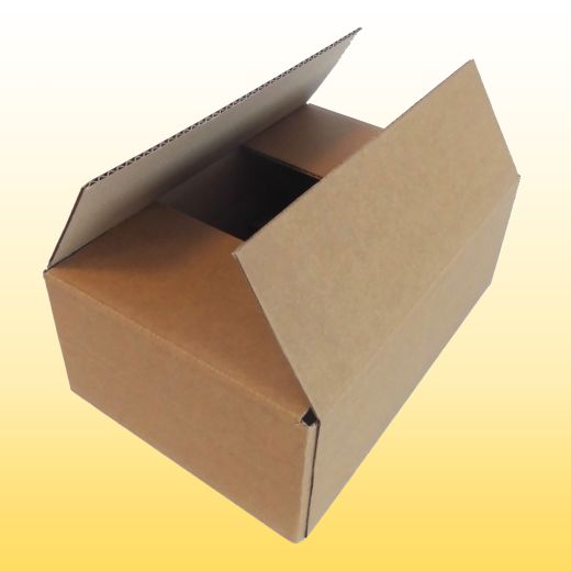 320 Karton 28 cm x 19 cm x 10 cm (BxTxH)
